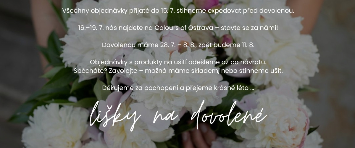 Main Slider